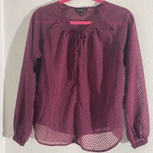 Banana Republic Sheer Top